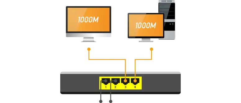 2x1000M Multi-Use Broadband Service
